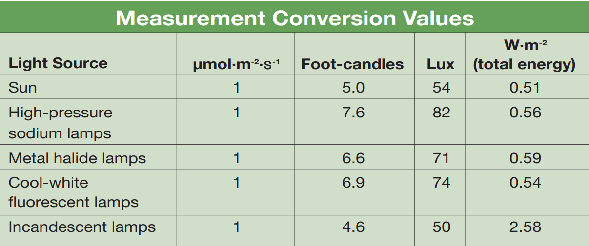 Light It Up! fig 1